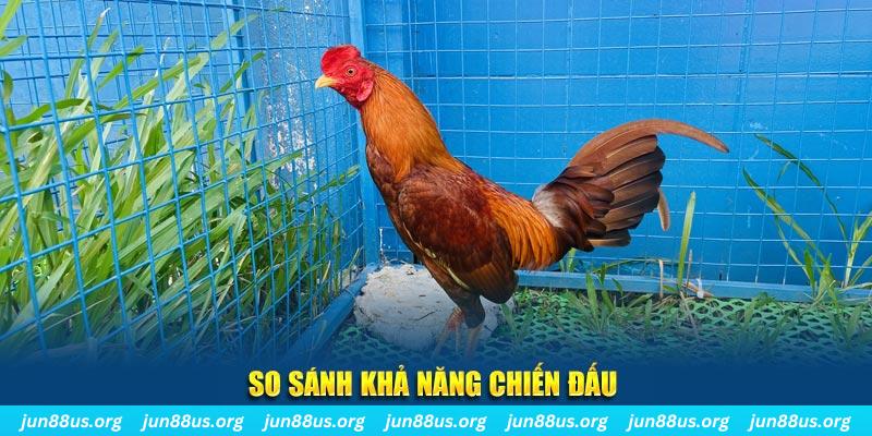 gk88 xổ số tiền giang