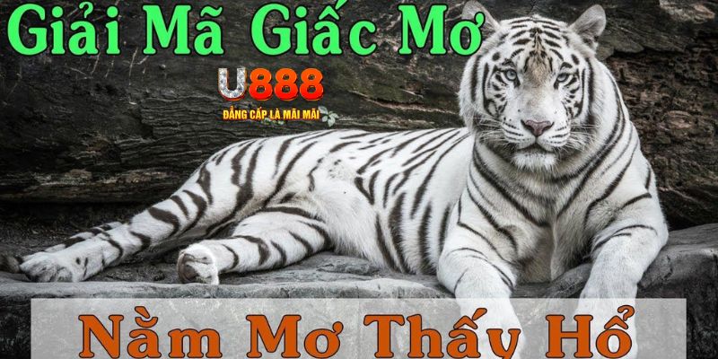 gk88 xổ số kiến thiết miền bắc