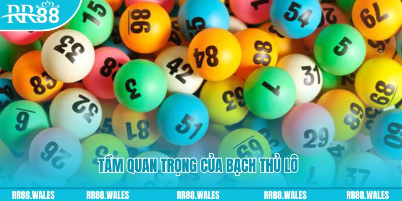 gk88 đá gà trực tiếp casino