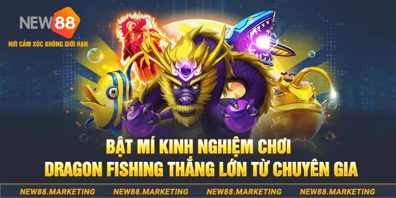 gk88 who wants to be a millionaire slot